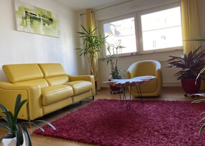 appartement à vendre Mulhouse Franklin Fridolin 68200