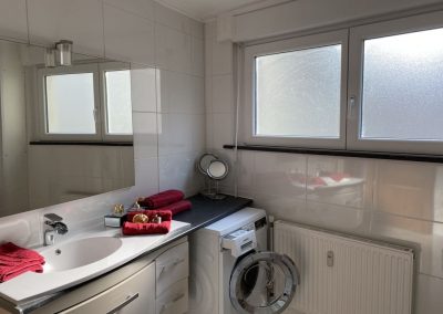 appartement à vendre Mulhouse Franklin Fridolin 68200